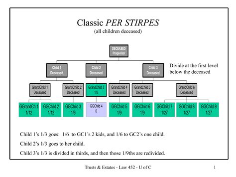 Classic Per Stirpes U Of C Trusts And Estates 2009 10