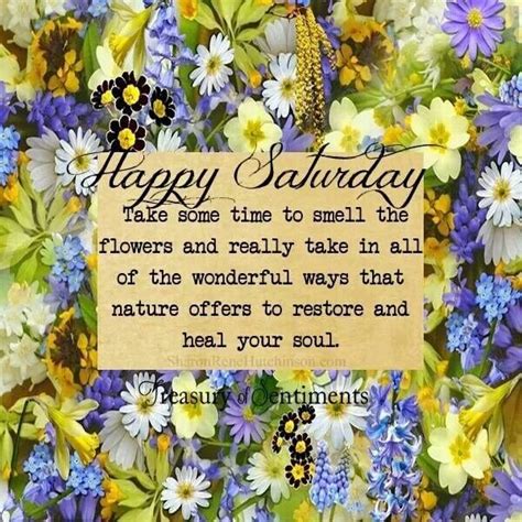 Happy Saturday Nature Poetry Quotes And Funnies Pinterest