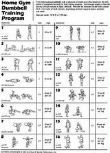 Pictures of Training Dumbbell Exercises