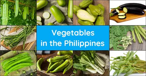 10 Popular Vegetables In The Philippines Discover The Philippines