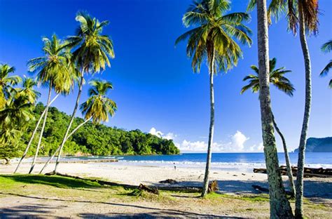 11 atracciones turísticas mejor valoradas en trinidad y tobago bookineo