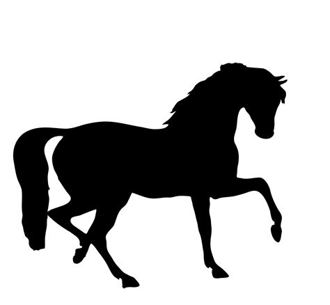 Horse Rearing Silhouette At Getdrawings Free Download
