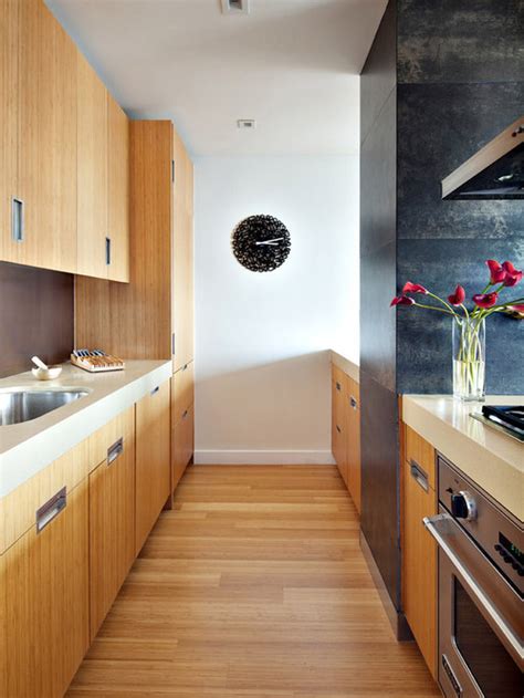 Galley Kitchen Lighting | Houzz