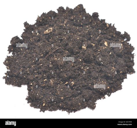 Mound Of Garden Soil Hi Res Stock Photography And Images Alamy
