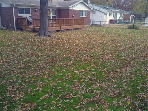The cost does not include replacement equipment for irrigation systems or major lawn. Leaf Removal - Complete Lawn Care