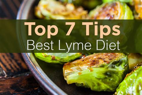 Tips For The Best Lyme Disease Diet Lifestyle Healing Institute