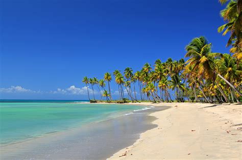 Fashion week dominicana republic finest punta cana fishing forbes пляж доминиканы ford mustang four. Dominican Republic travel | Caribbean - Lonely Planet