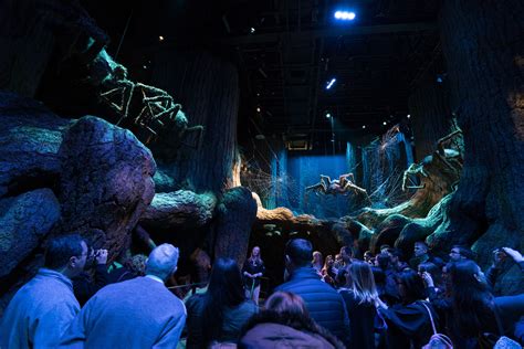 Thinkwell Group Congratulates Warner Bros On The Opening Of The Forbidden Forest Expansion At