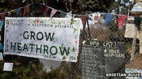 Grow Heathrow Green Fingered Squatters Eviction Fight Bbc News