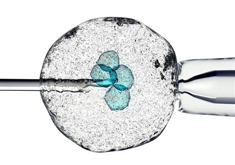 When To Consider Ivf Fertility Centers Of New England