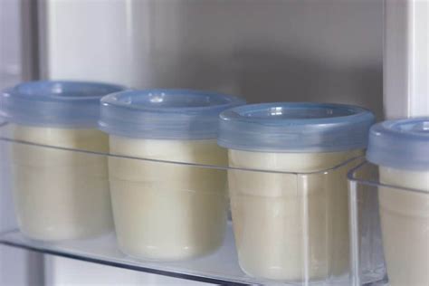 How Long Does Breast Milk Last In The Fridge Northern Nester