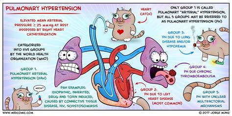 Learn Pulmonary Hypertension With A Medcomic