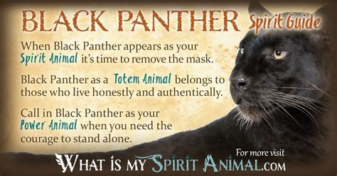 Black Panther Spirit Totem Power Animal Symbolism Meaning What Is My
