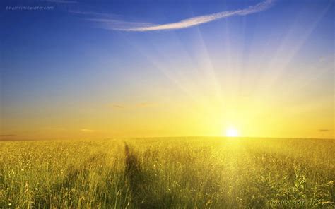 Beautiful Sunshine Wallpapers Download Free Wallpapers