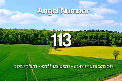 Angel Number 113 Symbolism And Meaning Spirit Animals
