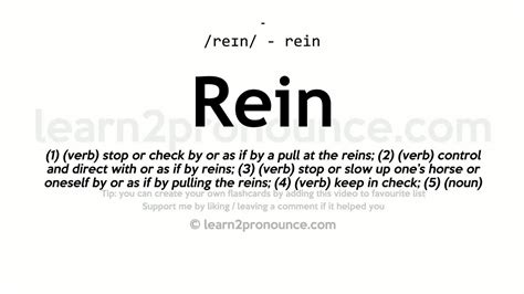 Rein Pronunciation And Definition Youtube