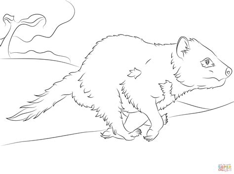 Running Tasmanian Devil coloring page | Free Printable Coloring Pages