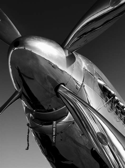Rumour has it that this iconic fighter inspired. P-51 Mustang Photograph by John Hamlon