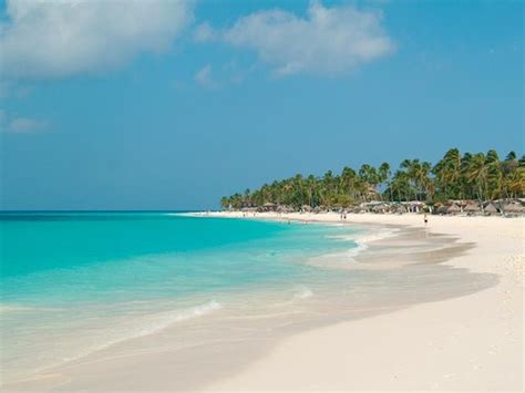 Divi Aruba All Inclusive Updated 2020 Prices And Resort All Inclusive