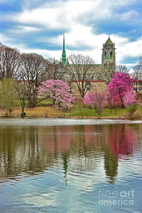 Sacred Heart Cathedral Cherry Blossom Reflections Photograph By Regina Geoghan Fine Art America