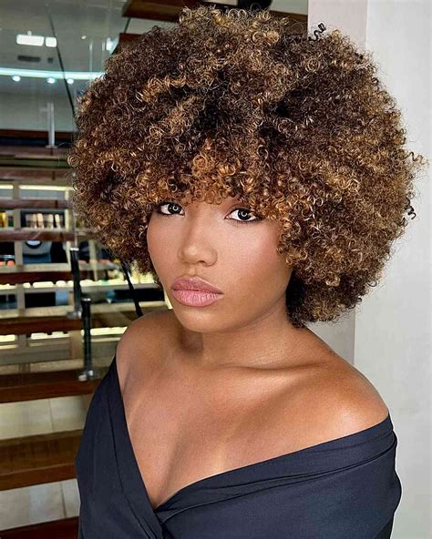 Discover 80 Natural Hair Highlights Latest Ineteachers
