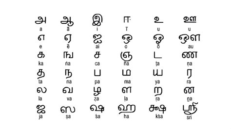 How To Write Tamil Alphabets In Four Lines James Towlers Toddler