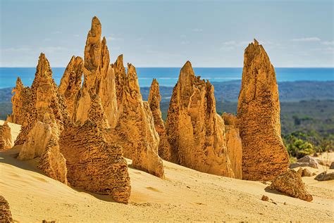 The Pinnacles Are Limestone Formations Within Nambung National Park