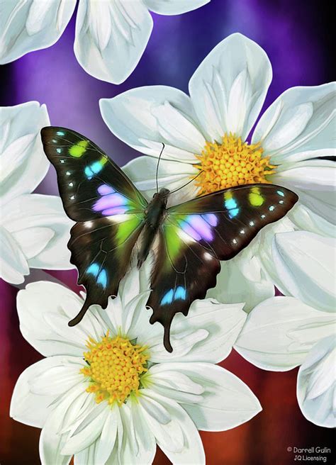 Butterfly Flowers Painting By Jq Licensing Fine Art America