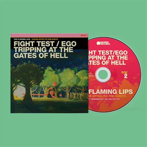 The Flaming Lips Yoshimi Battles The Pink Robots 20th Anniversary D