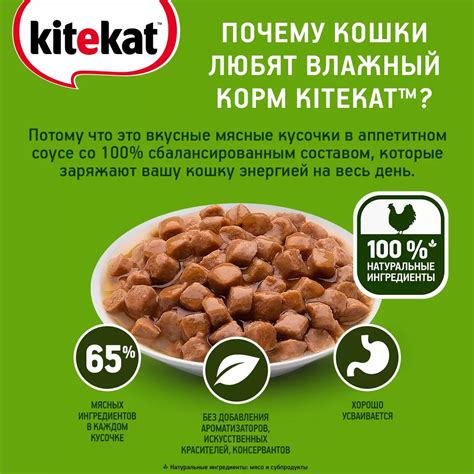 Влажный корм для кошек Kitekat с курицей в соусе 85г купить в