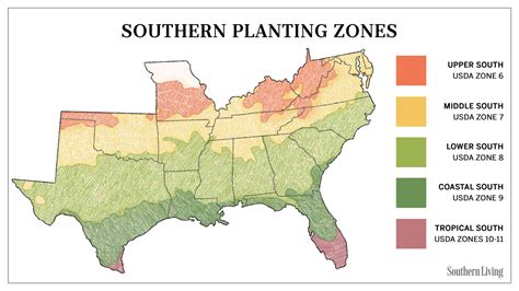Usda Zone Map The Southern Guide To Plant Hardiness And Climate Zones