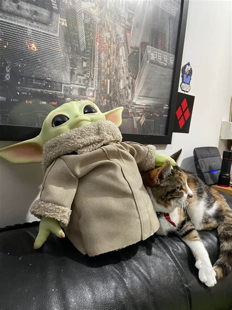Baby Yoda Chillin With Our Cat