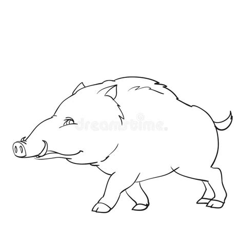 Wild Boar Wild Animal Outline Drawing Coloring Isolated Object On A