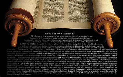 320x570 Resolution Two Brown And White Scroll Script Torah Jesus