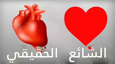 May 07, 2014 · ‎قلب مريم المتألم الطاهر‎. صور قلب الانسان - احساس ناعم