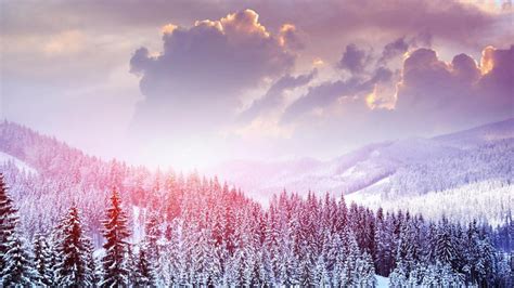 Snowy Mountain Forest Wallpaper Backiee