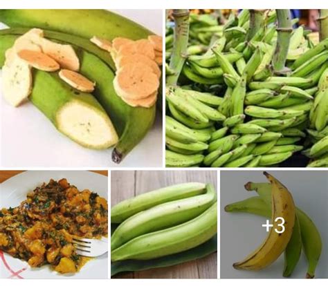 Health Benefit And Healing Power Of Plantain Gistcore Media