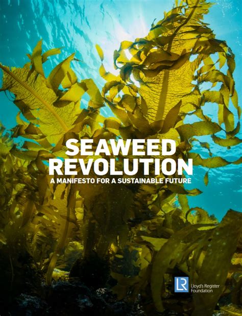 The Seaweed Manifesto An Initiative To Develop The Seaweed Sector In A