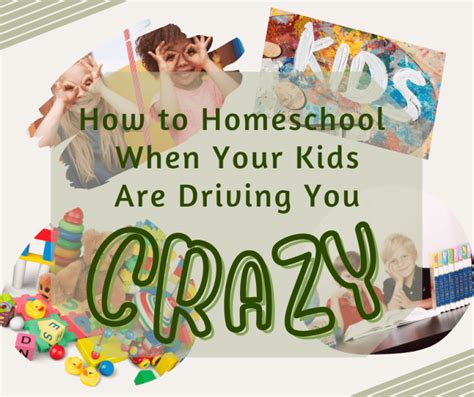 How To Homeschool When Your Kids Are Driving You Crazy Rhine Home