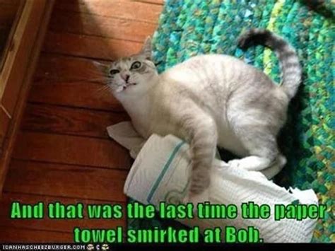 Funny Animal Pictures Of The Day 26 Pics Funny Animal Pictures