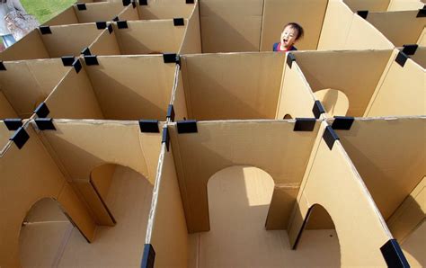 Maze Made From Cardboard Boxes Pics