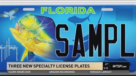 Are There Too Many Fl Specialty License Plates