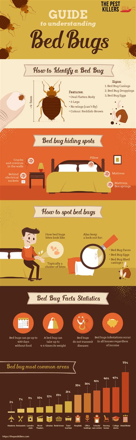 How To Identify Bed Bugs And Statistics Us Rinfographics