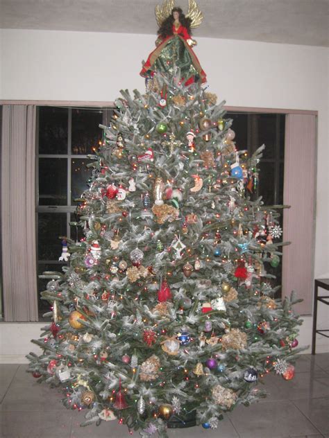 Christmas in Miami  Weihnachtsbaum, Baum