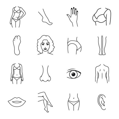 ícones De Partes Do Corpo Humano ícones De Contorno Em Um Fundo Branco