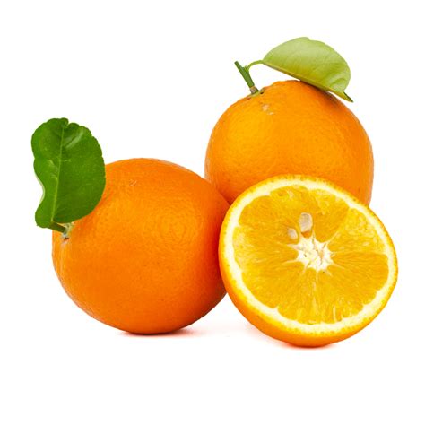 Essentiel à savoir sur la variété d'orange Navelina