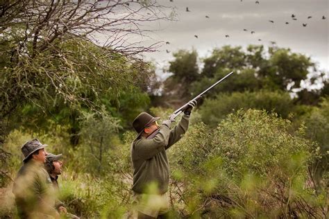 David Denies The Best Dove Hunting In The World Argentina Dove