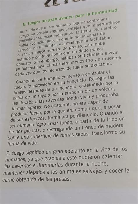 Escribo la idea principal del primer párrafo Escribo la idea principal del segundo párrafo