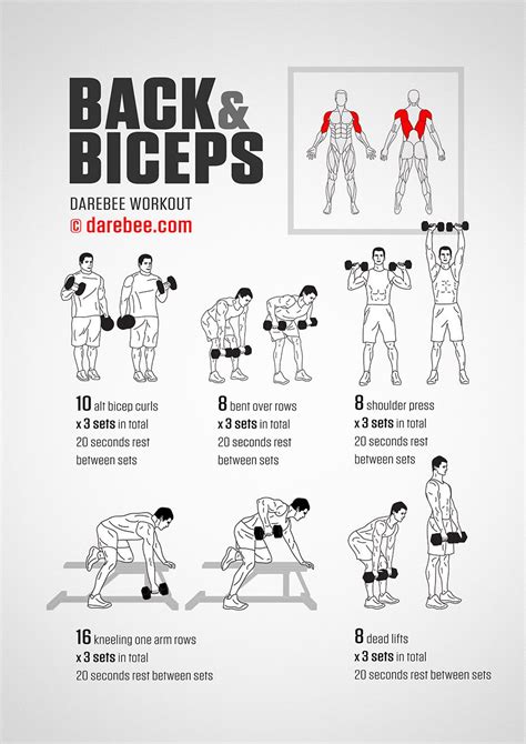 Pin By Khrystelle Blair On A Way Of Life Back And Bicep Workout Back And Biceps Dumbbell
