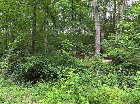 178 Acres In Oconee County South Carolina